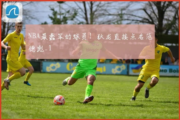 NBA最蠢笨的球员！狄龙直接点名范德彪_1