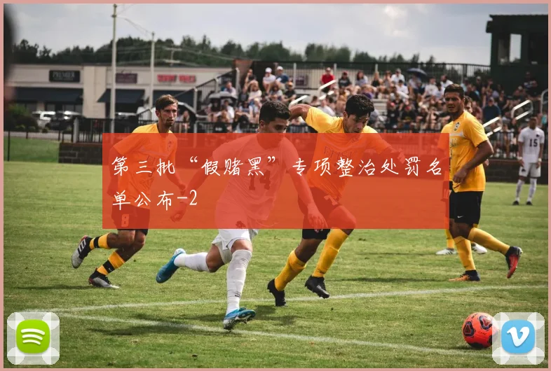 第三批“假赌黑”专项整治处罚名单公布