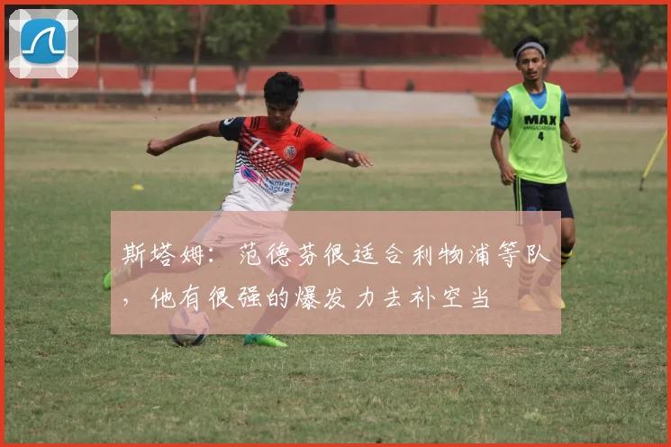 斯塔姆：范德芬很适合利物浦等队，他有很强的爆发力去补空当