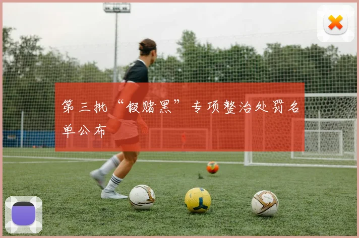 第三批“假赌黑”专项整治处罚名单公布