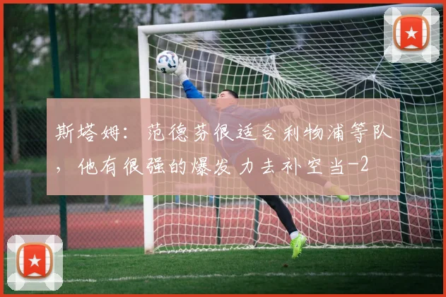 斯塔姆：范德芬很适合利物浦等队，他有很强的爆发力去补空当